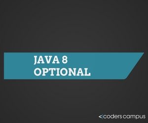 Java 8 Optional Keyword